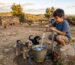 proyecto agua los molles